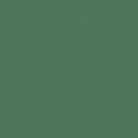 мулине 20м. цвет 4202 зеленый С-Пб