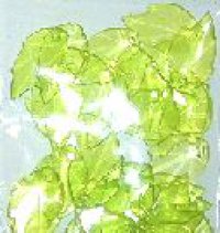 Набор бусин Кристалл, листочки, св. зел.CRP167