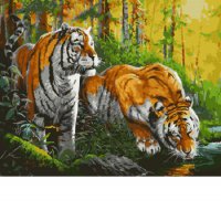 GX25502/Тигры на водопое- картина по номерам