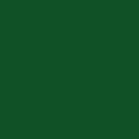 Фетр листовой 20х30 см, цвет т.зеленый