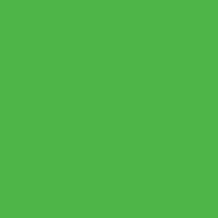 FOLIA Бумага цветная, 130 г/м2, 50х70 см, 1 л, зеленый травяной