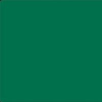 FOLIA Бумага цветная, 300 г/м2, 50х70 см, 1 л, зеленая ель-2
