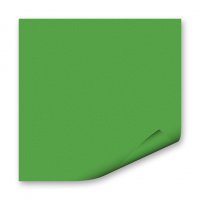 FOLIA Бумага цветная, 300 г/м2, 50х70 см, 1 л, зеленый травяной