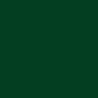 Молния спираль р/м тип 5, 55 см цвет 265 т.зеленый