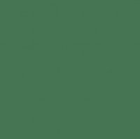 мулине 20м. цвет 3806 зеленый С-Пб