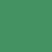 FOLIA Бумага цветная, 130 г/м2, 50х70 см, 1 л, зеленый мох