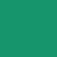 Молния спираль р/м тип 5, 80 см цвет № 250 зеленый